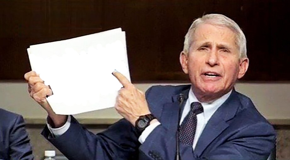 Fauci pointing to page Blank Meme Template