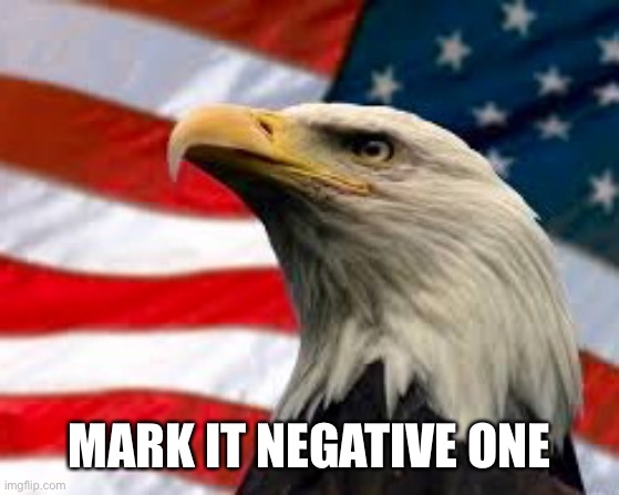 Murica Patriotic Eagle | MARK IT NEGATIVE ONE | image tagged in murica patriotic eagle | made w/ Imgflip meme maker