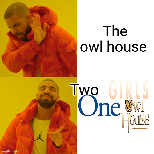 Drake Hotline Bling Meme | The owl house; Two | image tagged in memes,drake hotline bling | made w/ Imgflip meme maker