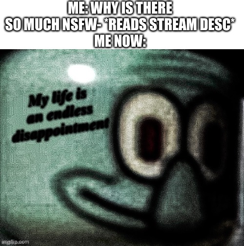 Like come on! Not even NSFW marking | ME: WHY IS THERE SO MUCH NSFW- *READS STREAM DESC*
ME NOW: | image tagged in disappointed squidward | made w/ Imgflip meme maker