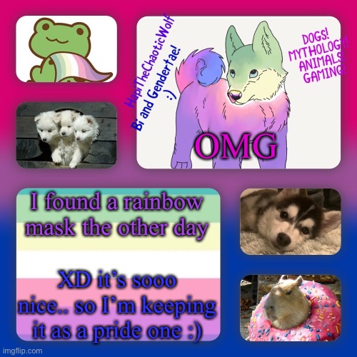 HapiTheChaoticWolf’s new Background | OMG; I found a rainbow mask the other day; XD it’s sooo nice.. so I’m keeping it as a pride one :) | image tagged in hapithechaoticwolf s new background | made w/ Imgflip meme maker
