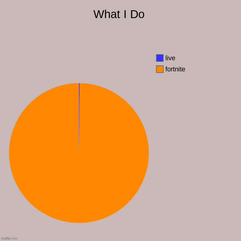 accurate pie chart | What I Do | fortnite, live | image tagged in charts,pie charts | made w/ Imgflip chart maker