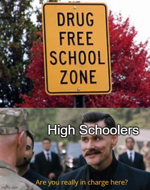 Yeah, It's true. sad, but true. |  High Schoolers | image tagged in are you really in charge here,don't do drugs,funny | made w/ Imgflip meme maker