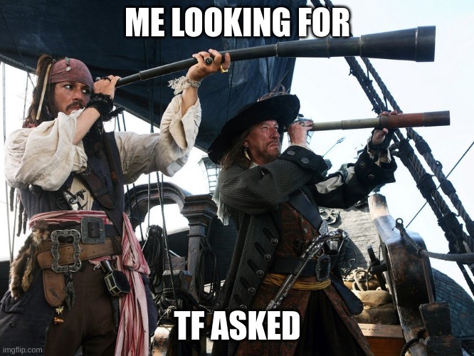 looking for who tf asked | ME LOOKING FOR; TF ASKED | image tagged in potc spyglass | made w/ Imgflip meme maker