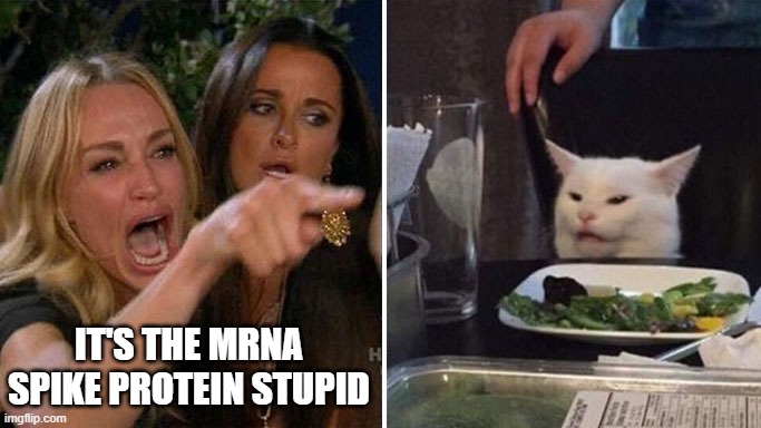 Angry lady cat | IT'S THE MRNA SPIKE PROTEIN STUPID | image tagged in angry lady cat | made w/ Imgflip meme maker