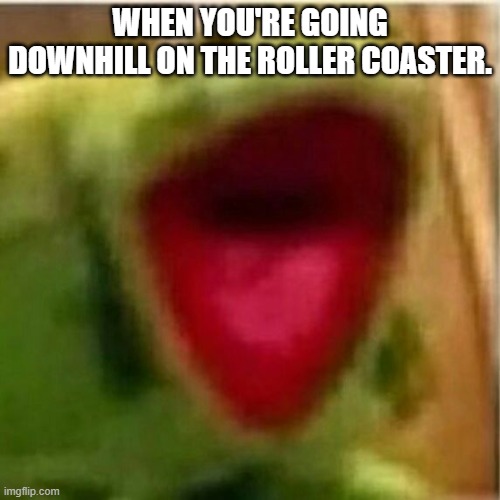 AHHHHHHHHHHHHH | WHEN YOU'RE GOING DOWNHILL ON THE ROLLER COASTER. | image tagged in ahhhhhhhhhhhhh | made w/ Imgflip meme maker