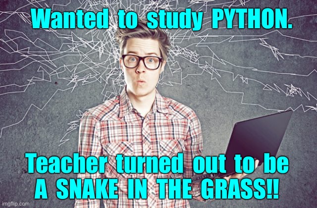 Programmers ... | Wanted  to  study  PYTHON. Teacher  turned  out  to  be
A  SNAKE  IN  THE  GRASS!! | image tagged in techo geek computer geek,python,programmers,bad pun,rick75230 | made w/ Imgflip meme maker