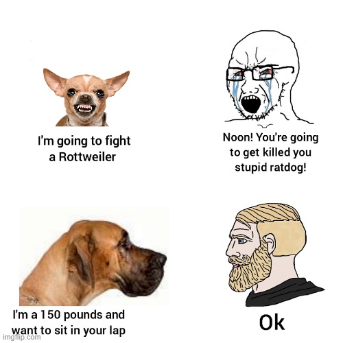 srsly tho | image tagged in memes,dogs,animals,yes chad | made w/ Imgflip meme maker