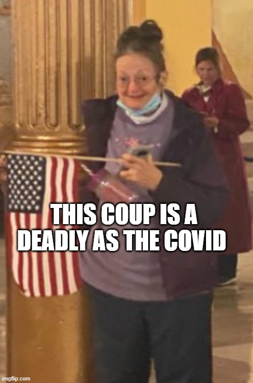 Meemaw at the capitol | THIS COUP IS A DEADLY AS THE COVID | image tagged in meemaw at the capitol | made w/ Imgflip meme maker