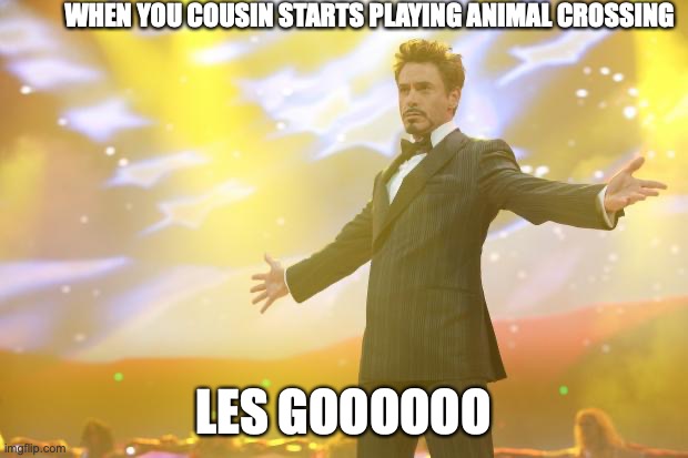 I have a friend now! | WHEN YOU COUSIN STARTS PLAYING ANIMAL CROSSING; LES GOOOOOO | image tagged in tony stark success,animal crossing,noice | made w/ Imgflip meme maker