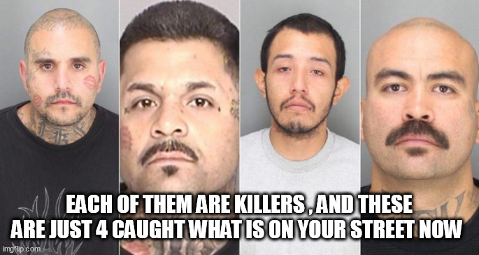 mexican cartels | EACH OF THEM ARE KILLERS , AND THESE ARE JUST 4 CAUGHT WHAT IS ON YOUR STREET NOW | image tagged in mexican cartels | made w/ Imgflip meme maker