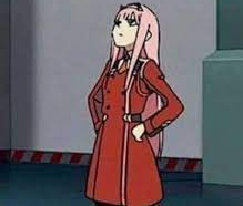 High Quality zero two what Blank Meme Template