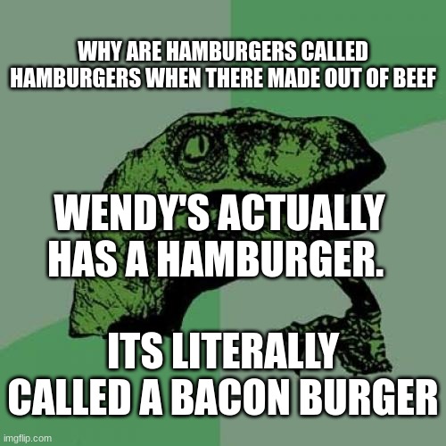 Philosoraptor Meme | WHY ARE HAMBURGERS CALLED HAMBURGERS WHEN THERE MADE OUT OF BEEF; WENDY'S ACTUALLY HAS A HAMBURGER. ITS LITERALLY CALLED A BACON BURGER | image tagged in memes,philosoraptor | made w/ Imgflip meme maker