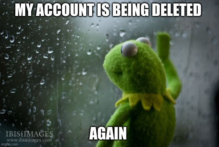 rest in peace my imgflip account no joke | MY ACCOUNT IS BEING DELETED; AGAIN | image tagged in funny,kermit window,memes | made w/ Imgflip meme maker