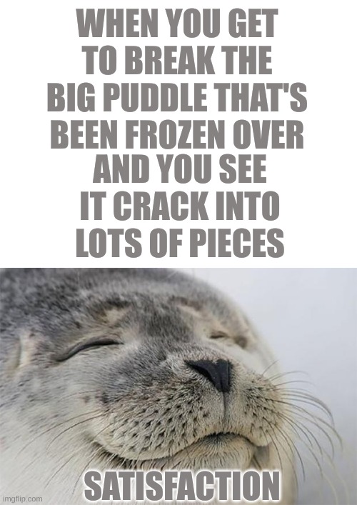 who else thinks this is satisfying? | WHEN YOU GET TO BREAK THE BIG PUDDLE THAT'S BEEN FROZEN OVER; AND YOU SEE IT CRACK INTO LOTS OF PIECES; SATISFACTION | image tagged in blank white template,memes,satisfied seal,lol,relatable maybe | made w/ Imgflip meme maker