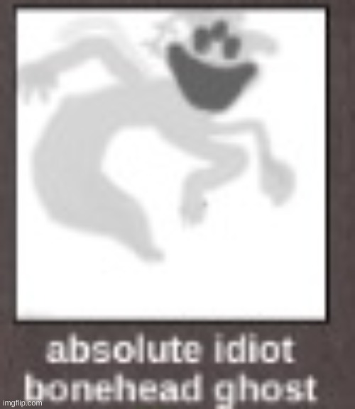 absolute idiot bonehead ghost | image tagged in absolute idiot bonehead ghost | made w/ Imgflip meme maker