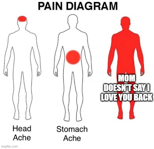 Pain Diagram | MOM DOESN'T SAY I LOVE YOU BACK | image tagged in pain diagram,sad moment | made w/ Imgflip meme maker