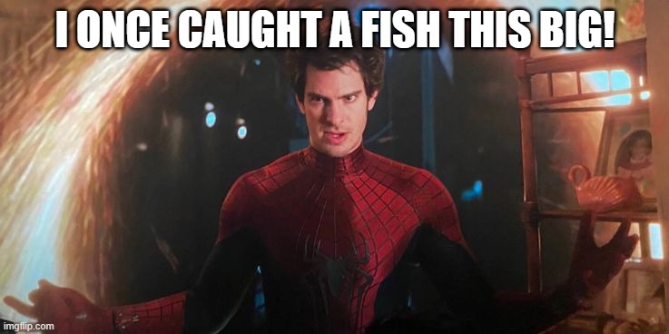 That's Not Why We Called Ya Peter | I ONCE CAUGHT A FISH THIS BIG! | image tagged in spiderman peter parker | made w/ Imgflip meme maker