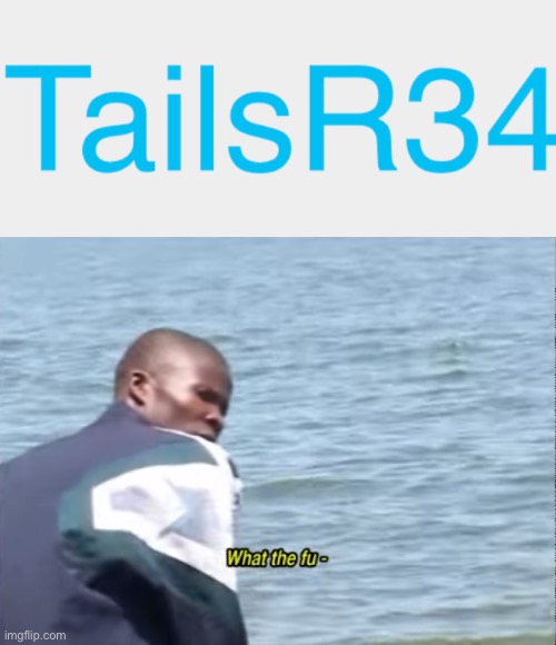 Lol they followed the stream | image tagged in what the fu- | made w/ Imgflip meme maker