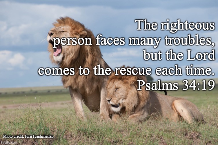 The Lord Delivers the Righteous | The righteous person faces many troubles,
but the Lord comes to the rescue each time.
Psalms 34:19; Photo credit: Iurii Ivashchenko | image tagged in angel of the lord,brokenhearted,fear the lord,praise the lord | made w/ Imgflip meme maker