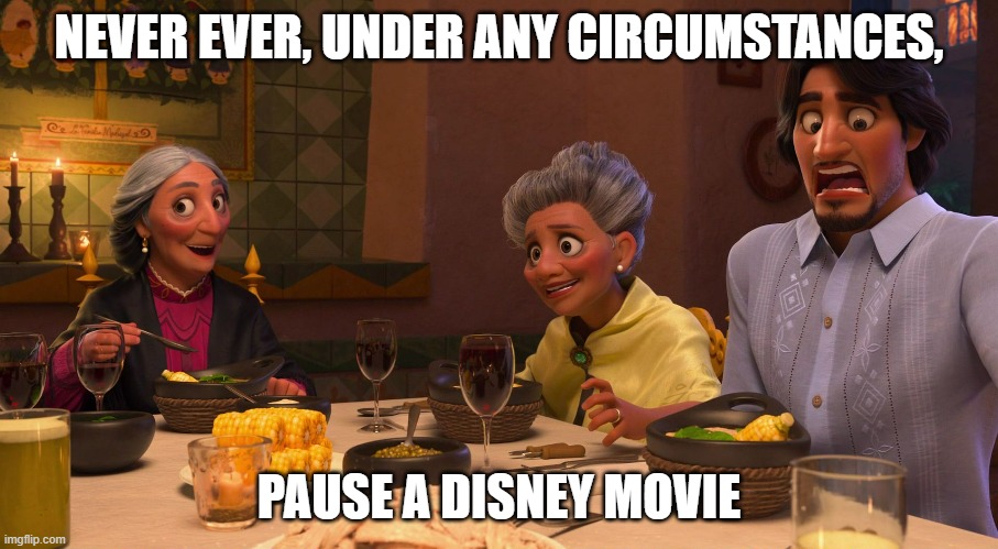 I Don't Know What To Say About This. | NEVER EVER, UNDER ANY CIRCUMSTANCES, PAUSE A DISNEY MOVIE | image tagged in disney,encanto,funny,memes,funny memes | made w/ Imgflip meme maker