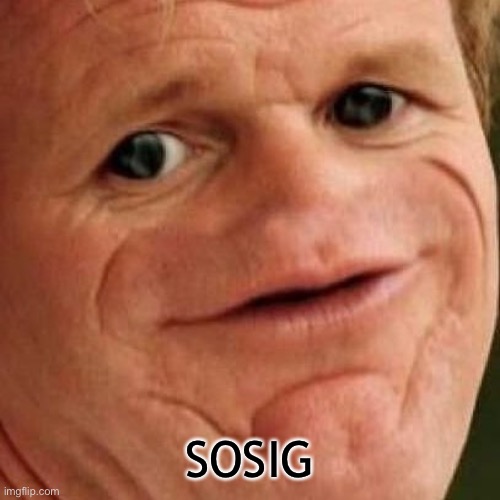 Sosig | SOSIG | image tagged in sosig | made w/ Imgflip meme maker