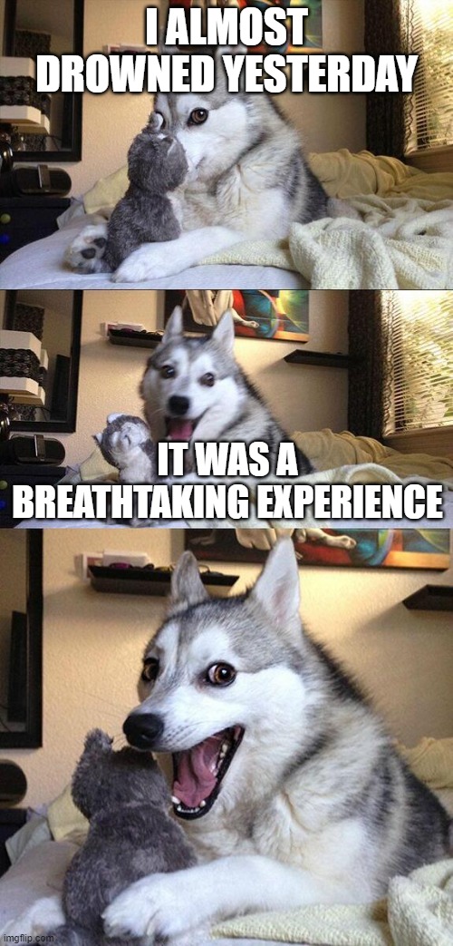 It was a 'breathtaking' experience indeed |  I ALMOST DROWNED YESTERDAY; IT WAS A BREATHTAKING EXPERIENCE | image tagged in bad dog puns,tru,water,drowning kid in the pool,luna_the_dragon,you okay | made w/ Imgflip meme maker