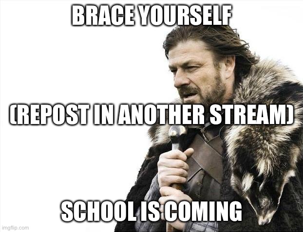 Brace Yourselves X is Coming | BRACE YOURSELF; (REPOST IN ANOTHER STREAM); SCHOOL IS COMING | image tagged in memes,brace yourselves x is coming | made w/ Imgflip meme maker