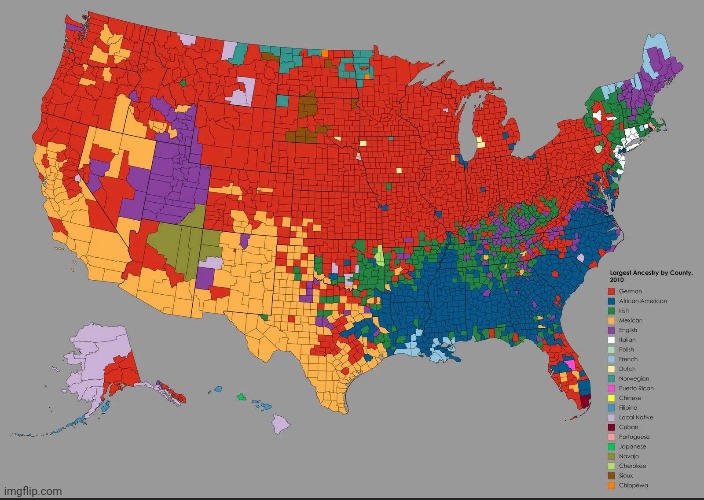 Largest claimed nationality/ancestry in the US by county (2010 censuses) | made w/ Imgflip meme maker