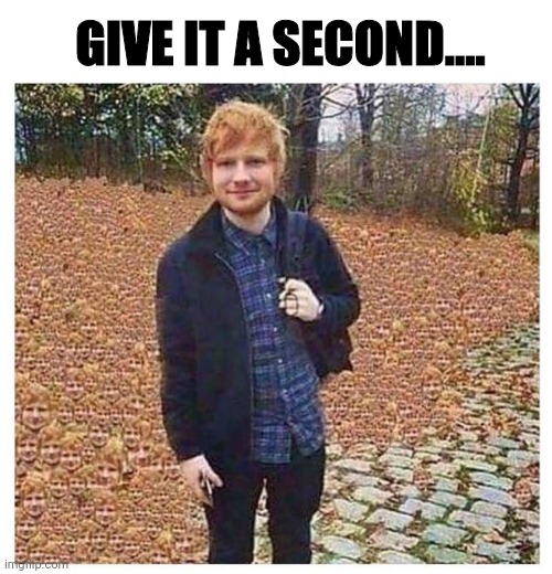 GIVE IT A SECOND.... | image tagged in ed sheran,autum,sneak 100 | made w/ Imgflip meme maker