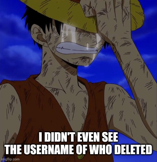 Luffy sad | I DIDN'T EVEN SEE THE USERNAME OF WHO DELETED | image tagged in luffy sad | made w/ Imgflip meme maker