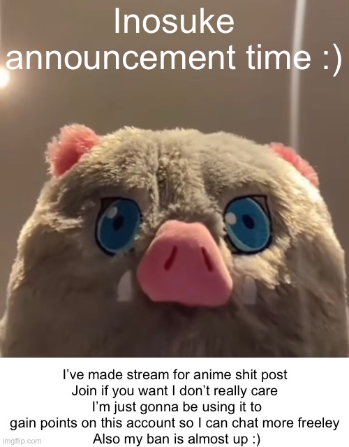 Yes I have alt account | Inosuke announcement time :); I’ve made stream for anime shit post 
Join if you want I don’t really care 
I’m just gonna be using it to gain points on this account so I can chat more freeley 
Also my ban is almost up :) | image tagged in anime | made w/ Imgflip meme maker