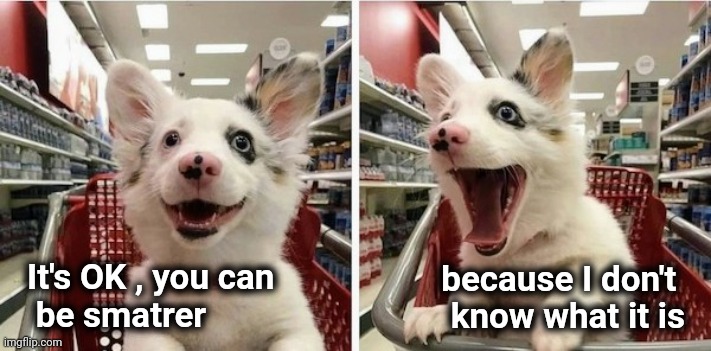 Happy Puppy | It's OK , you can
 be smatrer because I don't 
know what it is | image tagged in happy puppy | made w/ Imgflip meme maker