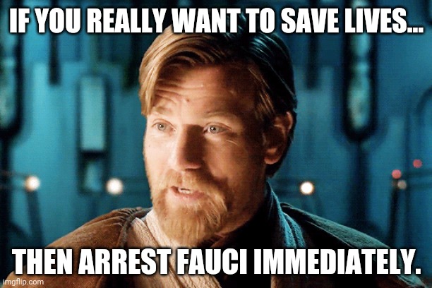 He should've been in handcuffs forever ago. | IF YOU REALLY WANT TO SAVE LIVES... THEN ARREST FAUCI IMMEDIATELY. | image tagged in memes | made w/ Imgflip meme maker