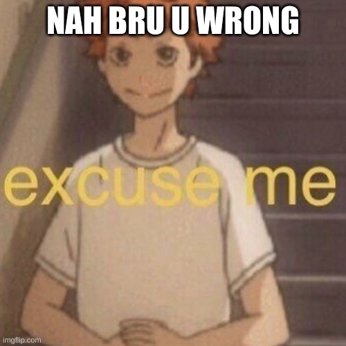 Anime excuse me | NAH BRU U WRONG | image tagged in anime excuse me | made w/ Imgflip meme maker