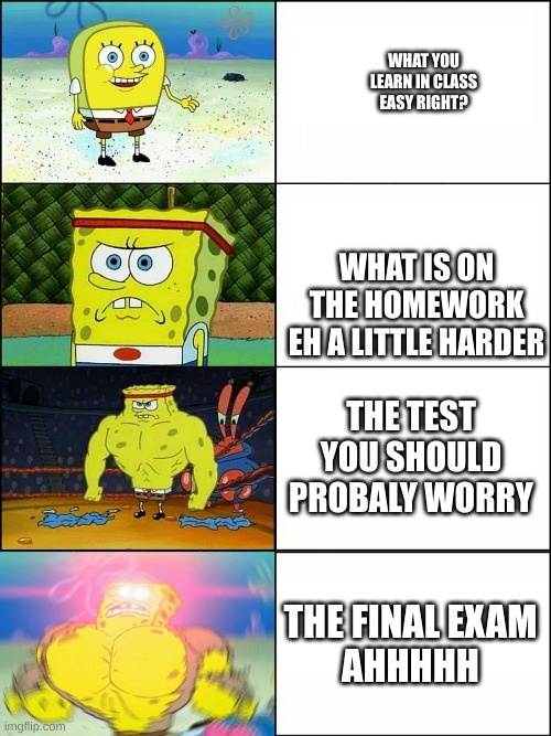 WHAT YOU LEARN IN CLASS
EASY RIGHT? WHAT IS ON THE HOMEWORK
EH A LITTLE HARDER; THE TEST
YOU SHOULD PROBALY WORRY; THE FINAL EXAM
AHHHHH | made w/ Imgflip meme maker