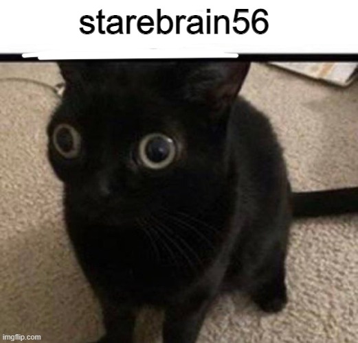 starebrain56 | made w/ Imgflip meme maker