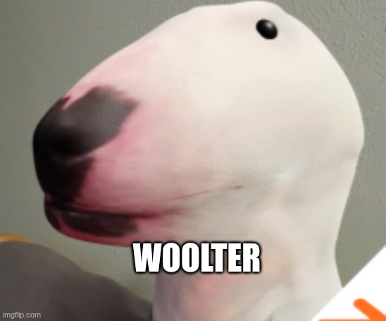 woolter ? |  WOOLTER | image tagged in funny memes,walter,certified bruh moment | made w/ Imgflip meme maker