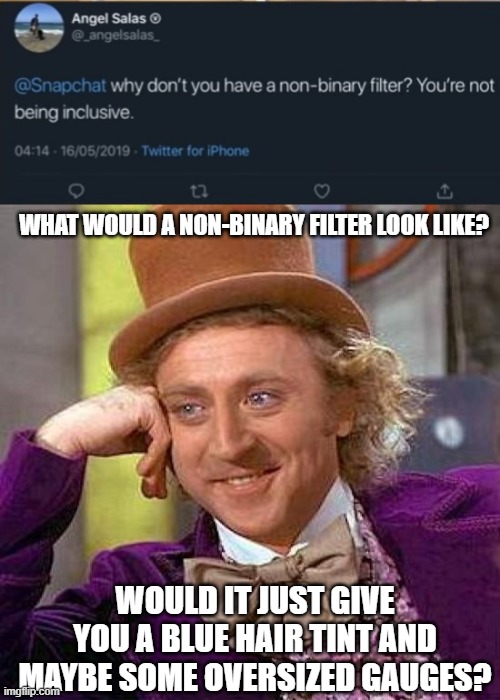 WHAT WOULD A NON-BINARY FILTER LOOK LIKE? WOULD IT JUST GIVE YOU A BLUE HAIR TINT AND MAYBE SOME OVERSIZED GAUGES? | image tagged in memes,creepy condescending wonka,snapchat,twitter,non binary,gender | made w/ Imgflip meme maker
