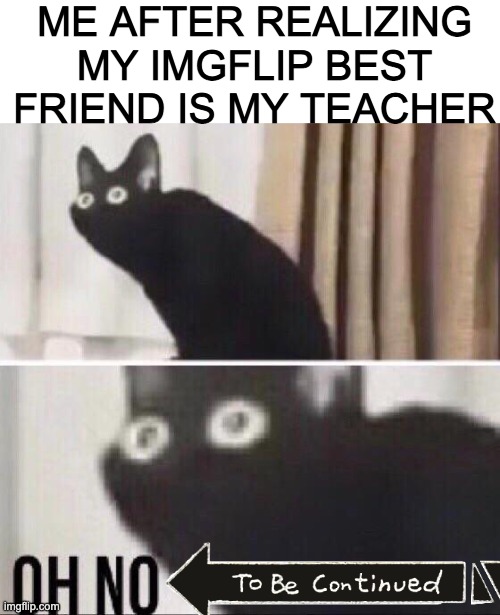 Literally me and my teacher in real life: OMGGGG YOUR SO DUMBBB | ME AFTER REALIZING MY IMGFLIP BEST FRIEND IS MY TEACHER | image tagged in oh no cat | made w/ Imgflip meme maker