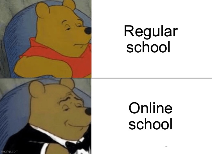 Tuxedo Winnie The Pooh Meme | Regular school; Online school | image tagged in memes,tuxedo winnie the pooh | made w/ Imgflip meme maker