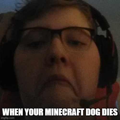 When Your Dog Dies | WHEN YOUR MINECRAFT DOG DIES | image tagged in minecraft,sad | made w/ Imgflip meme maker