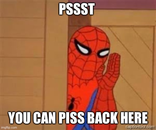 Psst spiderman | PSSST YOU CAN PISS BACK HERE | image tagged in psst spiderman | made w/ Imgflip meme maker