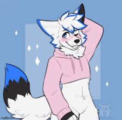 Femboy furry | image tagged in femboy furry | made w/ Imgflip meme maker