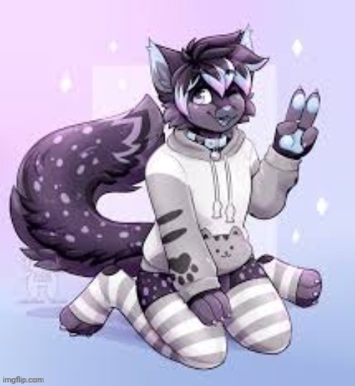 Femboy furry | image tagged in femboy furry | made w/ Imgflip meme maker