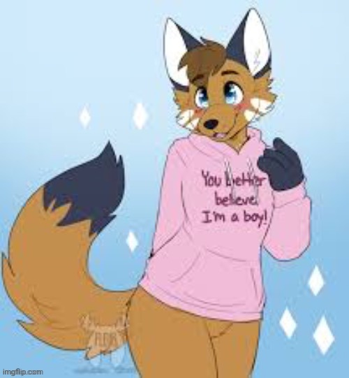 Femboy furry | image tagged in femboy furry | made w/ Imgflip meme maker