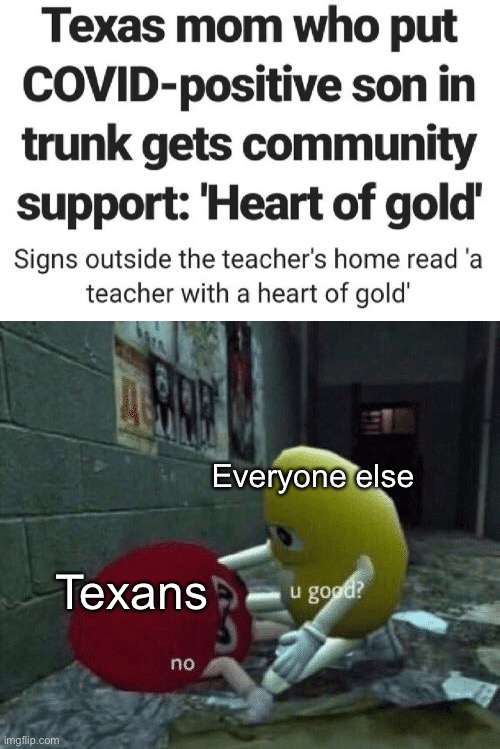 Seriously, are Texans ok? | Everyone else; Texans | image tagged in you good | made w/ Imgflip meme maker