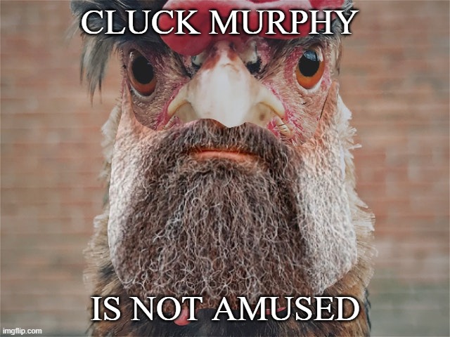 Cluck Murphy | CLUCK MURPHY; IS NOT AMUSED | image tagged in jack murphy,funny meme,chicken,cuck,alpha | made w/ Imgflip meme maker