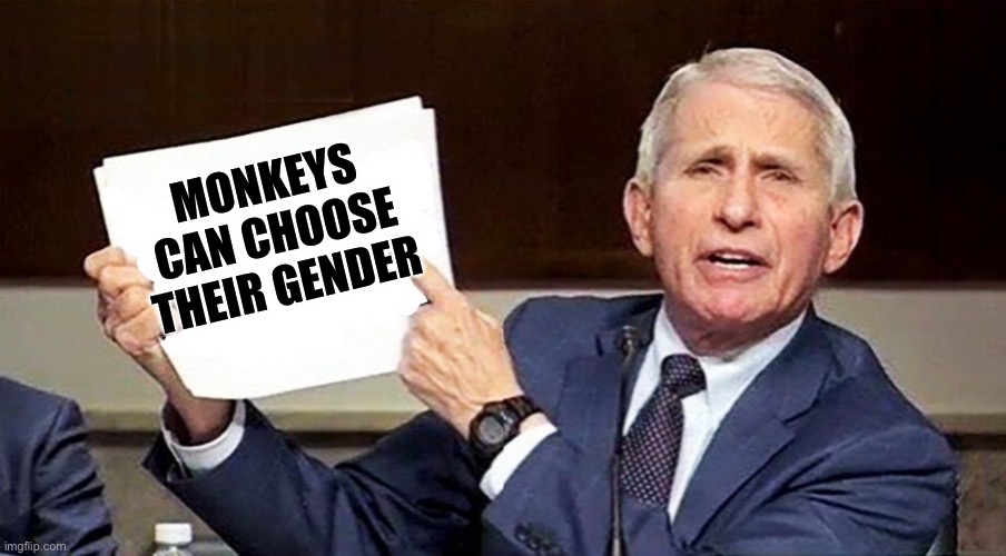 fauci point at paper | MONKEYS CAN CHOOSE THEIR GENDER | image tagged in fauci point at paper | made w/ Imgflip meme maker
