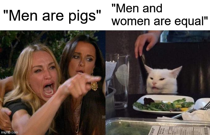 It's just a joke, okay? Don't get mad plz | "Men and women are equal"; "Men are pigs" | image tagged in memes,woman yelling at cat | made w/ Imgflip meme maker